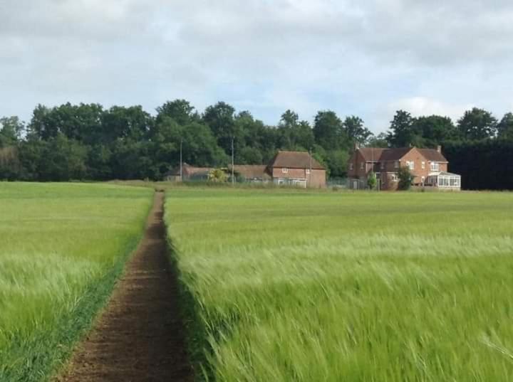 애슈퍼드 Plumpton Barn 빌라 외부 사진